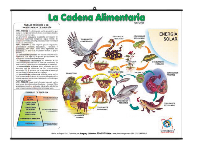 Láminas educativas